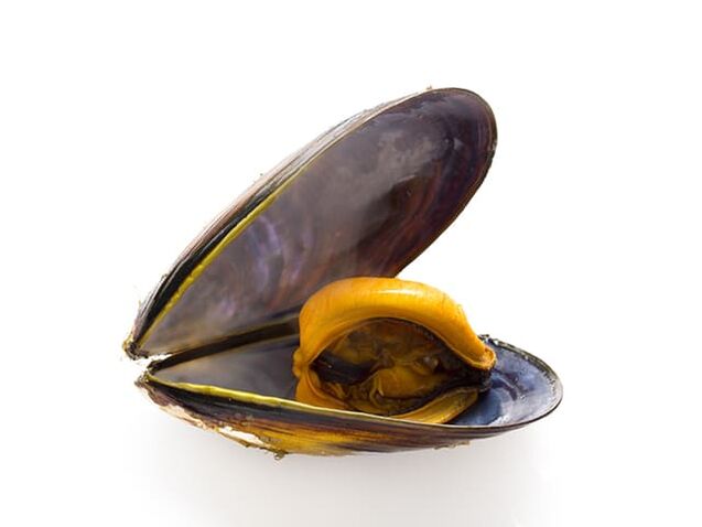 Due to the high zinc content, mussels improve sperm quality